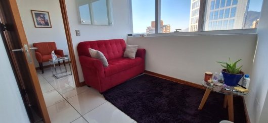 Sala de espera y consulta con plantas y luz natural